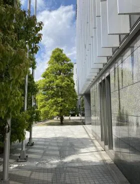 タワープレイス芝公園ビルの外観