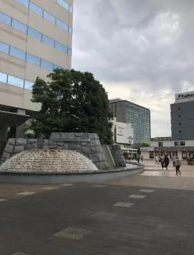 深川ギャザリア・タワーS棟の外観