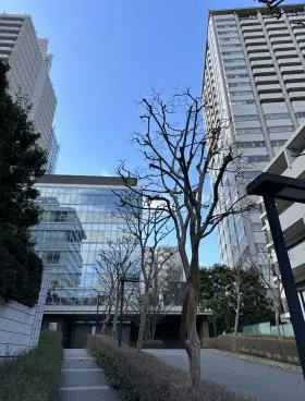 赤坂シグマタワービルの外観