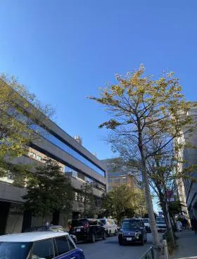 仮)南青山3丁目計画ビルの外観