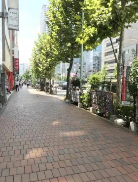 グレース中の橋の外観