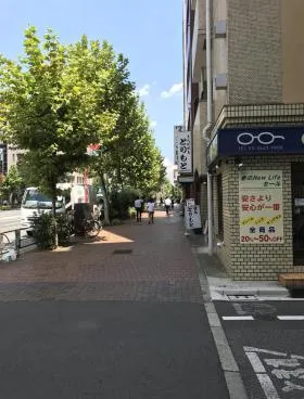 グレース中の橋の外観