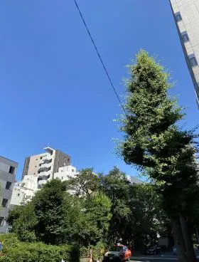 ひまわり日本橋人形町(旧:IS)ビルの外観