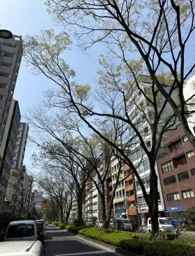 江戸川橋アクセスの外観