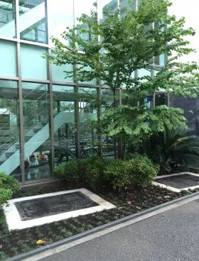 アスパ日本橋ビルの外観