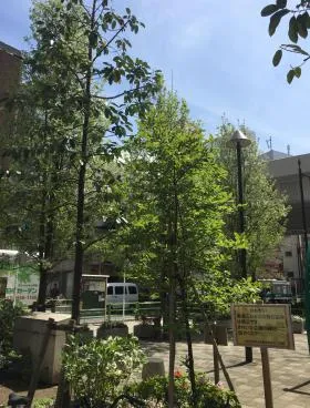 一新ビルの外観