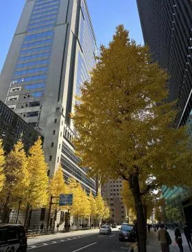 大成大手町(旧大手町野村)ビルの外観