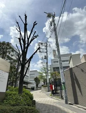 アレトゥーサ渋谷ビルの外観