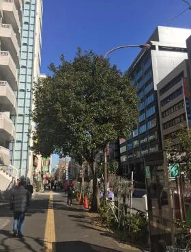 白川ショールームビルの外観