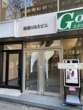 銀座M&Sビルの外観