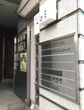 銀座メイフラワーハウス(銀座メイフラワービル)の外観