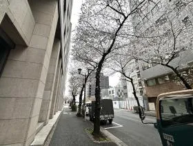 左に曲がったら直進する