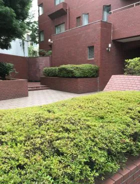 パレロワイヤル南青山の外観