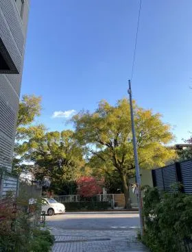 グランカーサ南青山の外観