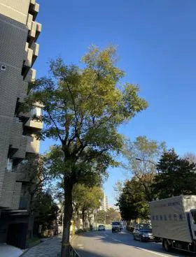 グランカーサ南青山の外観