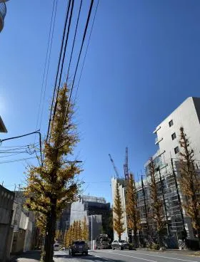 力ンファウスビルの外観
