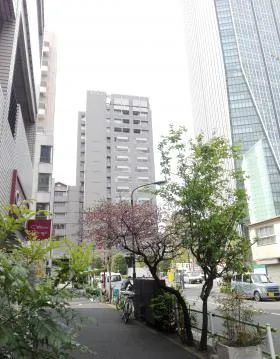植竹ビルの外観