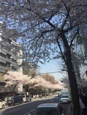 九段センタービルの外観