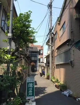ハイネス野上の外観