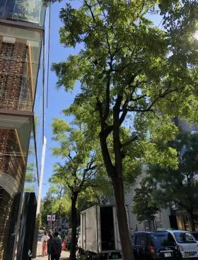 RUELLE青山ビルの外観