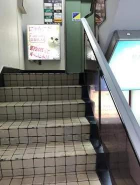 スワンビルの外観