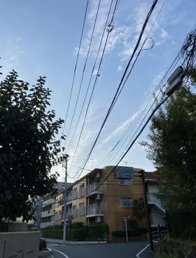 イガリビルの外観