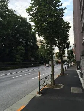 マンションヴィップ新宿御苑(VIP新宿御苑)の外観