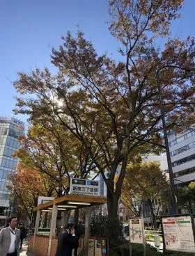 新宿カドビルの外観