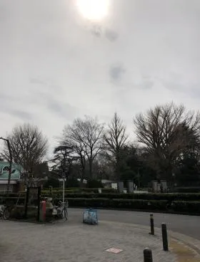 第28宮庭マンションビルの外観