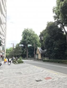 第10宮庭マンションの外観