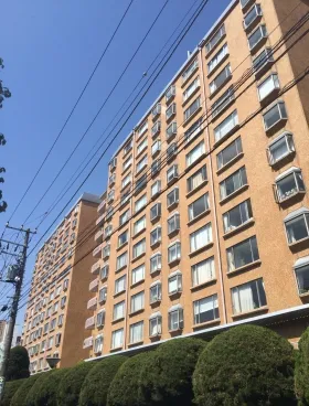 南青山第一マンションズの外観