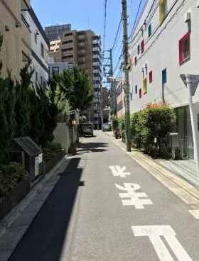 オアーキスタケビの外観