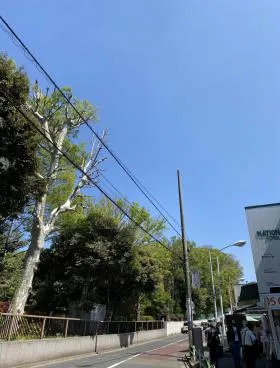 CALM HIROO(旧:コウセイ広尾ビルの外観