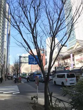 南海東京ビルの外観