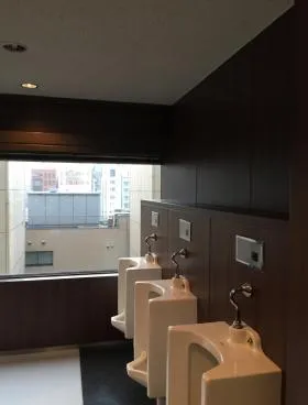 ヒューリック銀座ウォールビルの外観