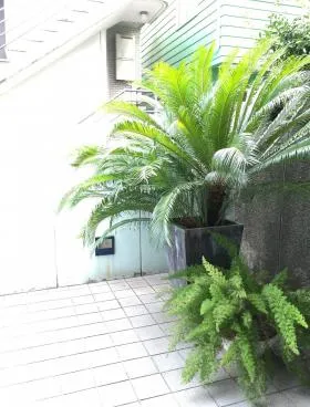クリーデンス麻布台ビルの外観