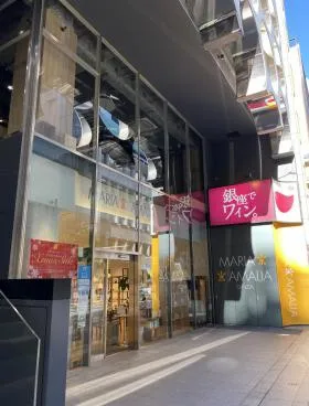 VORT銀座maxim(旧:銀座マトリックス)の外観