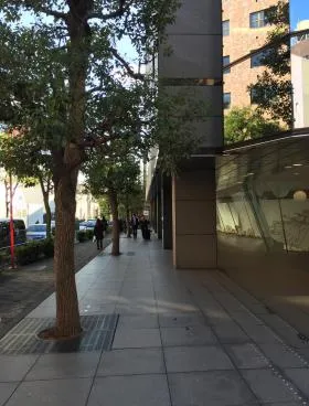 NBF ALLIANCE    の外観