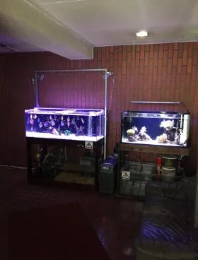 大内ビルの外観