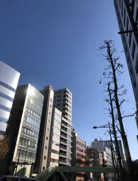ACE日本橋ビル(旧:日本橋エクセレントビルの外観
