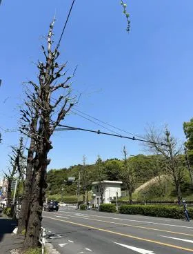 エイト・バイ・エイチビルの外観