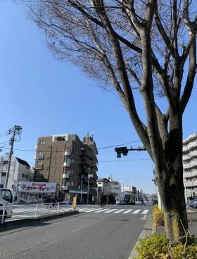 パラッツオ大山ビルの外観