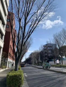 パラッツオ大山ビルの外観