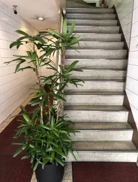 福八ビルの外観