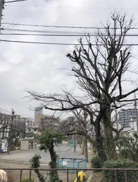 モア・エクセレンスビルの外観