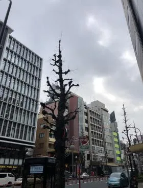 WEST CO.ビルの外観
