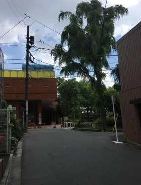 グレイス代官山ビルの外観