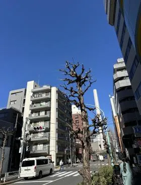 ウインズビルの外観