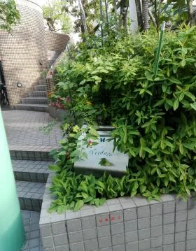 ヴェルデュールビルの外観