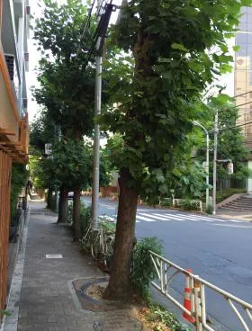 ニュー常盤松マンションの外観